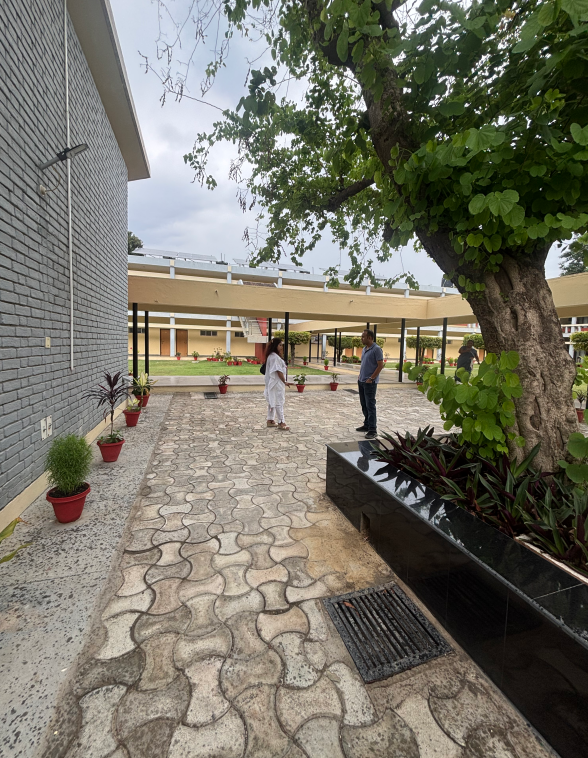 Institutional Campus – Courtyard Landscape